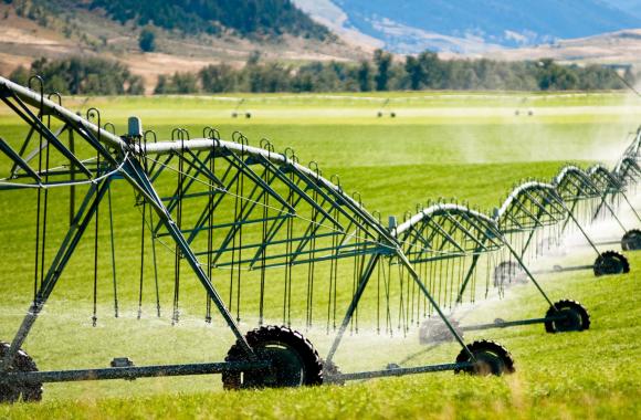 Irrigation efficiency